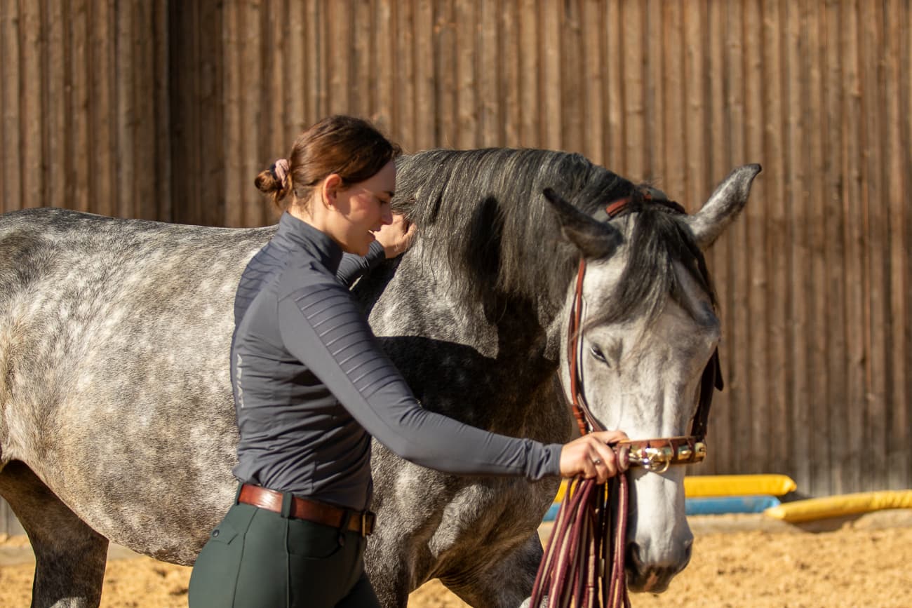Tageskurse bei dir am Stall